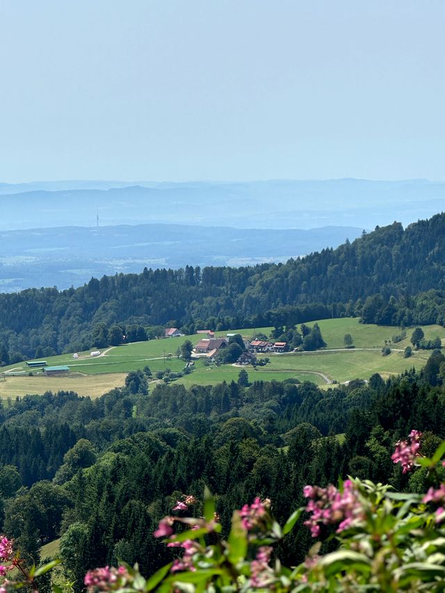 Über 2 Mio. Euro Fördermittel für Projekte im Ländlichen Raum im Landkreis Lörrach