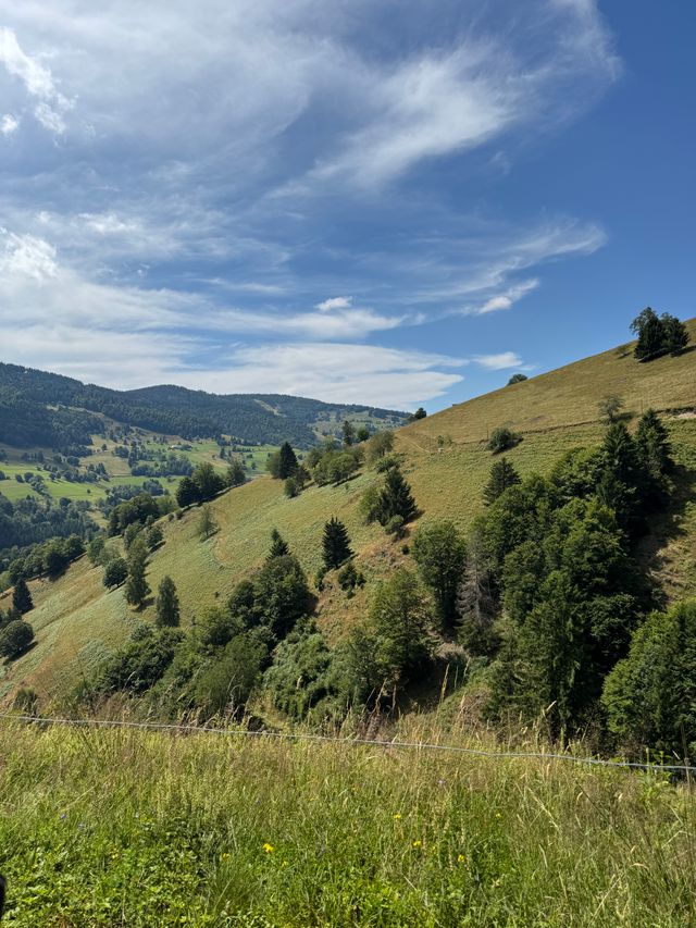 Land fördert acht Projekte im Ländlichen Raum mit insgesamt über 1,7 Mio. Euro
