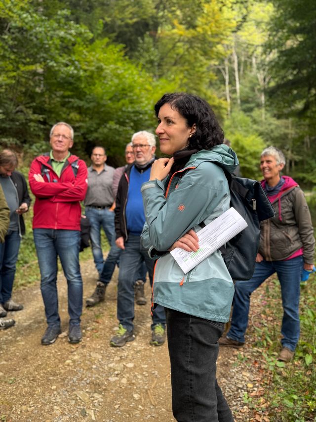 Mischwälder sind gut fürs Klima und bieten den Gemeinden mehr Sicherheit