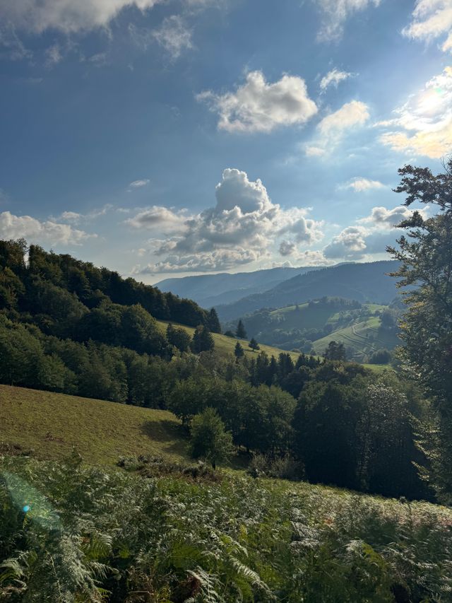 3,3 Millionen Euro zusätzlich für Naturparke und Umweltschutz im Land