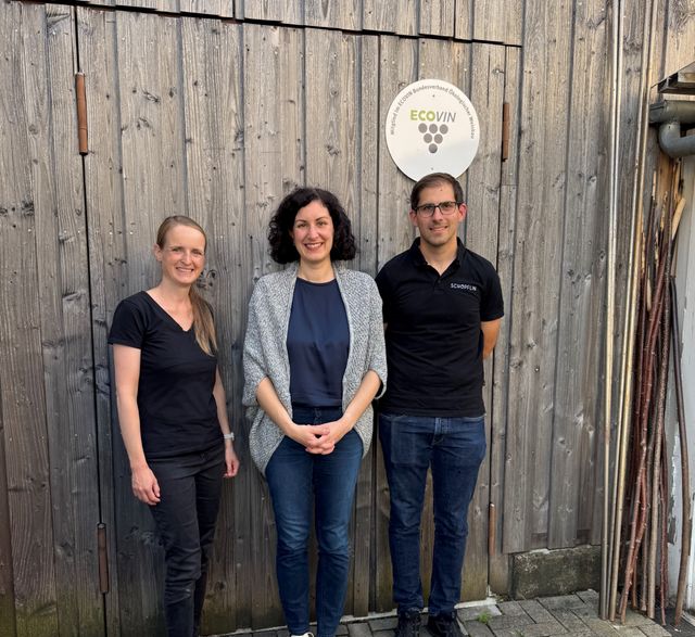 Beim Weingut Schöpflin in Binzen