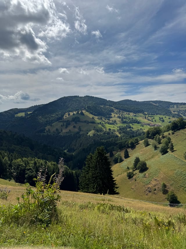 Über eine Million Euro Fördermitteln für Projekte im ländlichen Raum